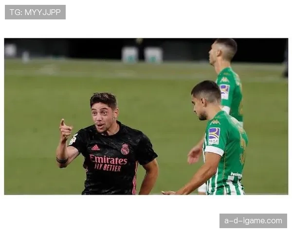 巴尔韦德B2B全能覆盖能力解析